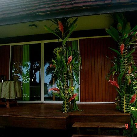 Tauhanihani Village Lodge La Vague Bleue Teahupoo Eksteriør billede