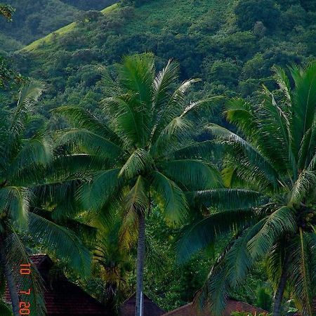 Tauhanihani Village Lodge La Vague Bleue Teahupoo Eksteriør billede