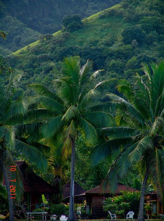 Tauhanihani Village Lodge La Vague Bleue Teahupoo Eksteriør billede